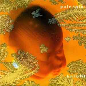 Download Pale Saints - Half-Life