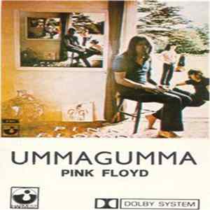 Download Pink Floyd - Ummagumma