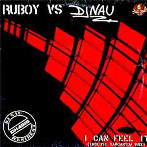Download Ruboy vs. DJ Nau - I Can Feel It