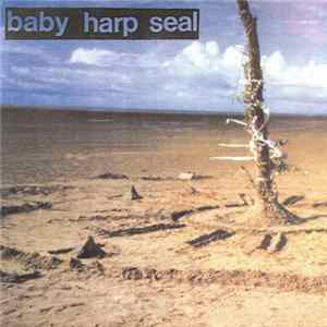Download Baby Harp Seal - Baby Harp Seal