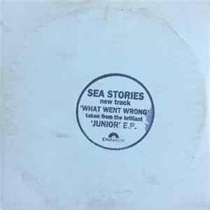 Download Sea Stories - What Went Wrong