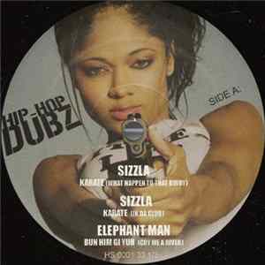 Download Various - Hip-Hop Dubz