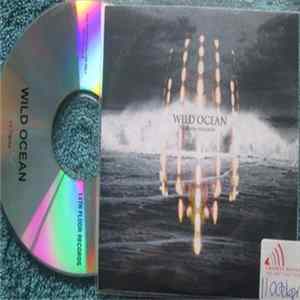 Download John Hughes - Wild Ocean