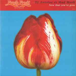 Download DJ Antoine vs. Mad Mark - Now That You're Gone