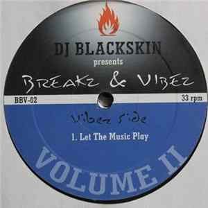 Download Dj Blackskin - Breakz & Vibez Vol. 2