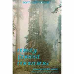 Download Steve Gordon ● David Gordon - Misty Forest Morning