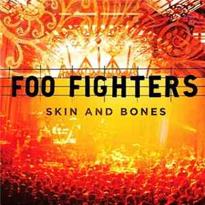 Download Foo Fighters - Skin And Bones