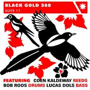 Download Black Gold 360 - Suite 17