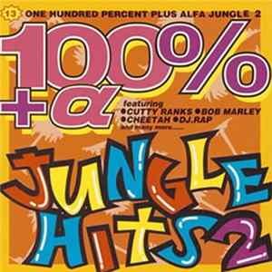 Download Various - 100%+α Jungle Hits 2