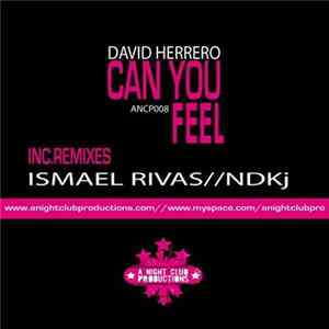 Download David Herrero - Can You Feel
