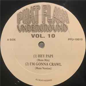 Download Various - Phat Flava Underground Vol. 10