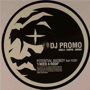 Download Potential Bad Boy - I Need A Roof / Bup Do Bup