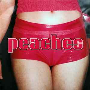 Download Peaches - The Teaches Of Peaches
