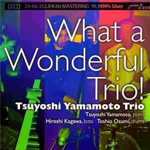 Download Tsuyoshi Yamamoto Trio - What A Wonderful Trio!
