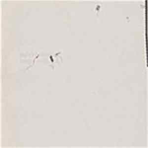 Download Microstoria - Improvisers