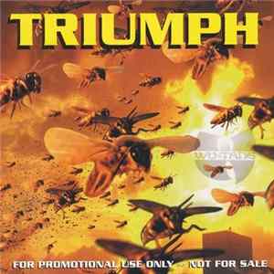 Download Wu-Tang Clan Featuring CappaDonna - Triumph