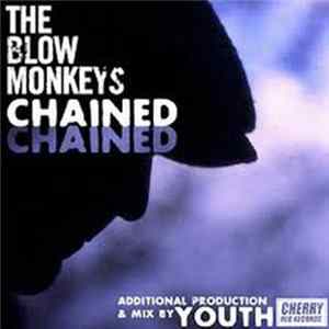 Download The Blow Monkeys - Chained