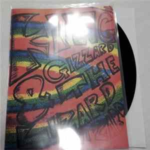 Download King Gizzard And The Lizard Wizard - Sleep / Summer