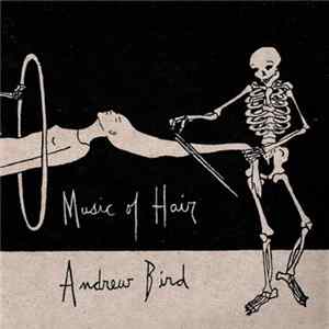 Download Andrew Bird - Music Of Hair