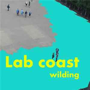 Download Lab Coast - Wilding