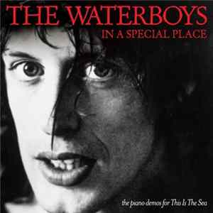 Download The Waterboys - In A Special Place