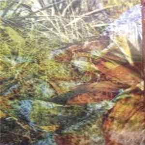 Download Naturestudy - Stars Like Dust