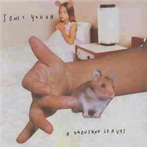 Download Sonic Youth - A Thousand Leaves