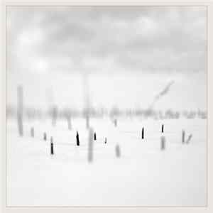 Download Taylor Deupree + Marcus Fischer - In A Place Of Such Graceful Shapes