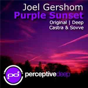 Download Joel Gershom - Purple Sunset