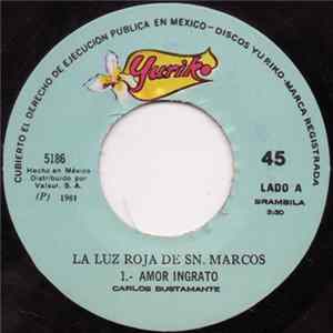 Download Luz Roja de San Marcos - Amor Ingrato