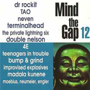 Download Various - Mind The Gap Volume 12