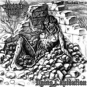 Download Morbid Flesh - Dying Lapidation