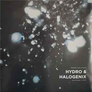 Download Hydro & Halogenix - Disillusioned / Trieste