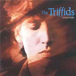 Download The Triffids - Calenture