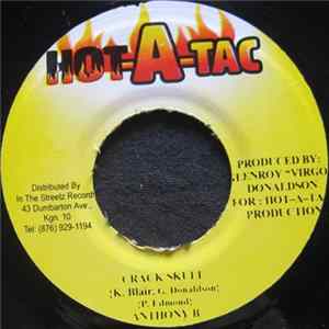Download Anthony B / Spice - Crack Skull / Twingy