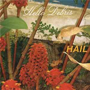 Download Hail - Hello Debris