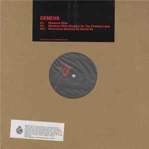 Download Geneva - Museum Mile
