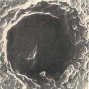 Download Utat - Korv