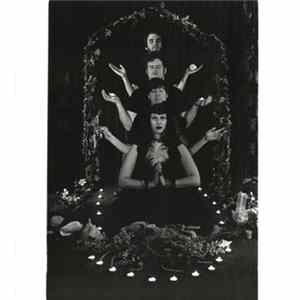 Download The Shivas - Whiteout