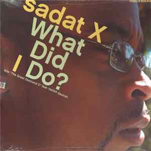 Download Sadat X - What Did I Do? / The Great Diamond D