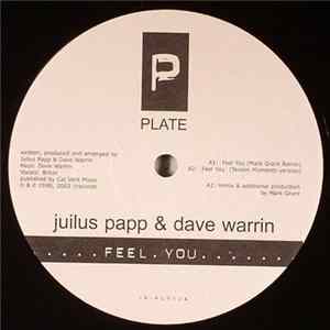 Download Julius Papp & Dave Warrin - Feel You