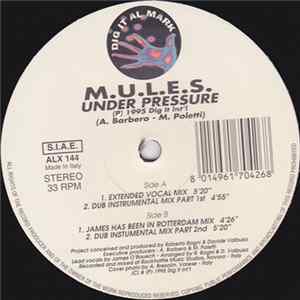 Download M.U.L.E.S. - Under Pressure