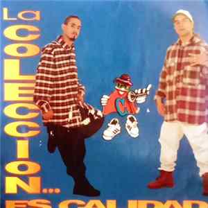 Download La Coleccion - La Coleccion Es Calidad...