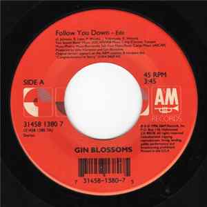 Download Gin Blossoms - Follow You Down