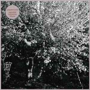 Download Papercuts - Parallel Universe Blues