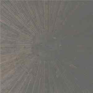 Download William Basinski & Lawrence English - Selva Oscura