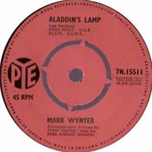 Download Mark Wynter - Aladdin's Lamp