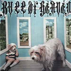 Download Bull Of Heaven - A Beautiful Dog