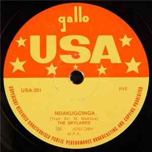 Download The Skylarks - Kutheni Sithandwa / Ndakugcinga