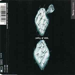 Download Terry Hoax - Policy Of Truth